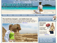 Tablet Screenshot of cleansemasters.com